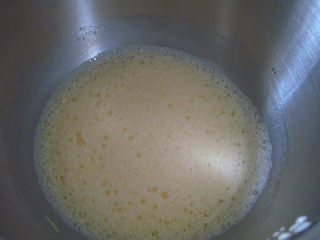 צילום: חיה אילונה דר